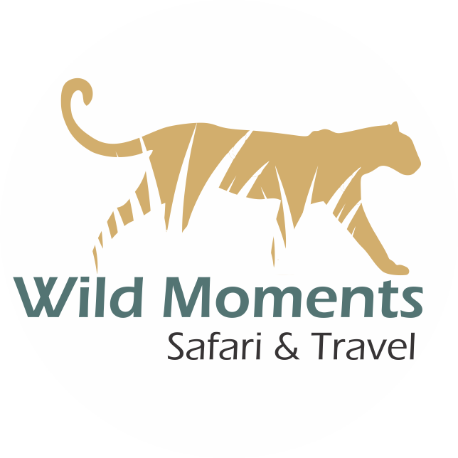 Wild Moments