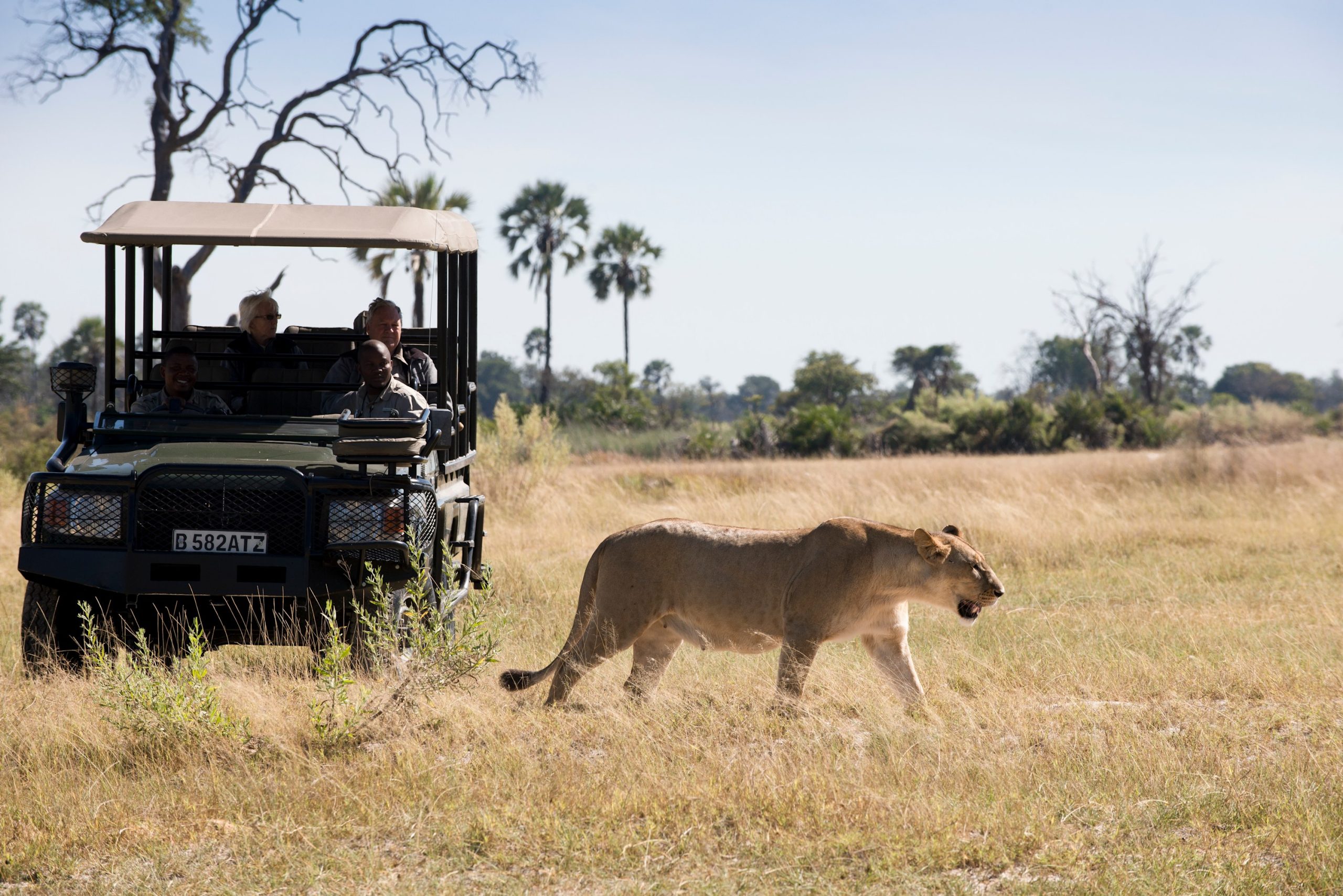 Okavango Delta