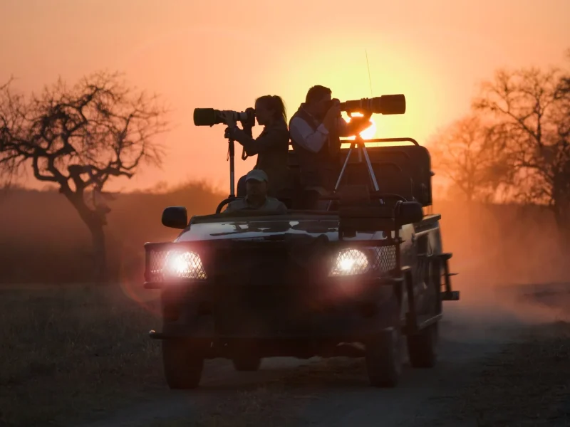 Photographers shooting wildlife at sunset, andBeyond Phinda, South Africa