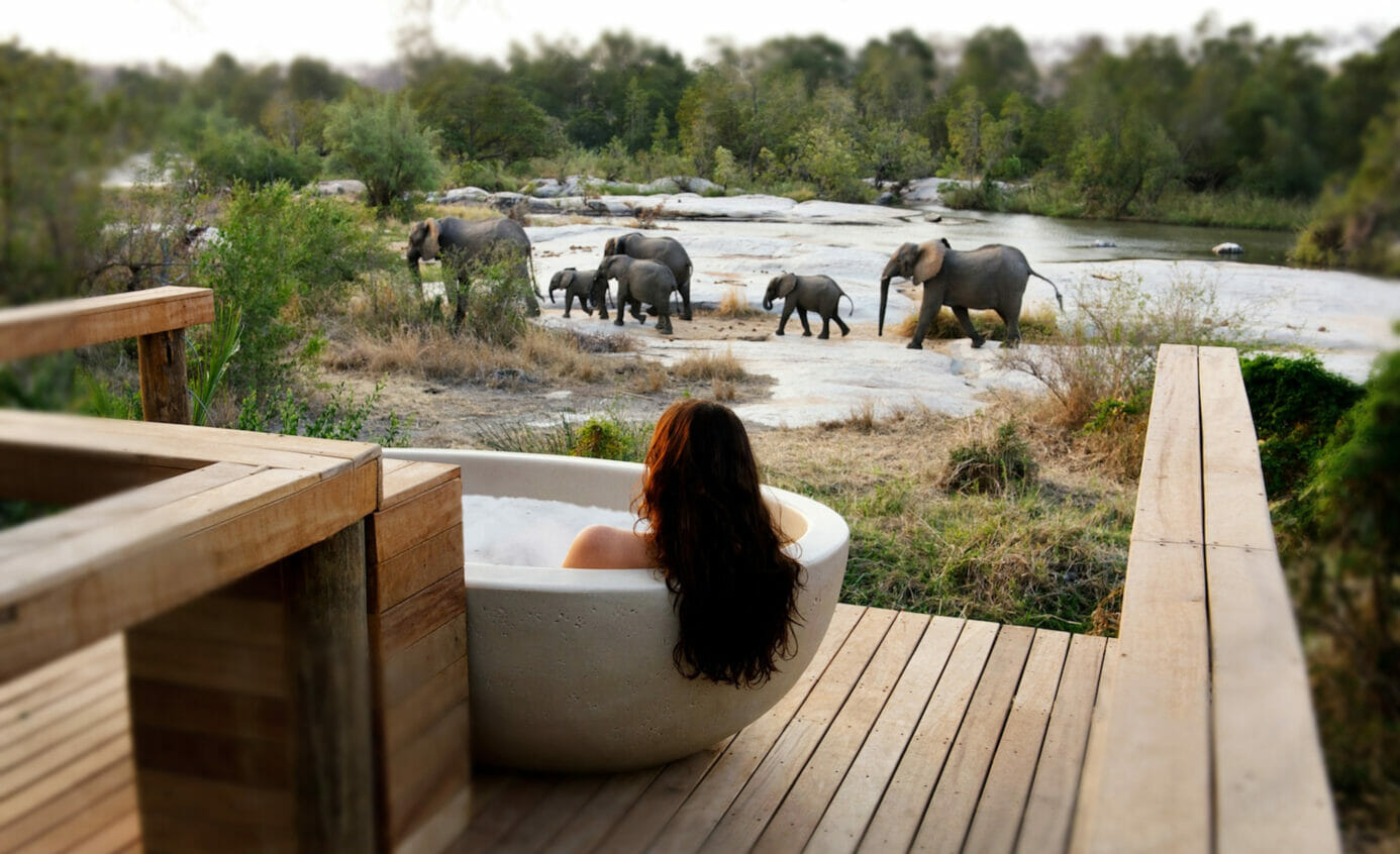 Londolozi