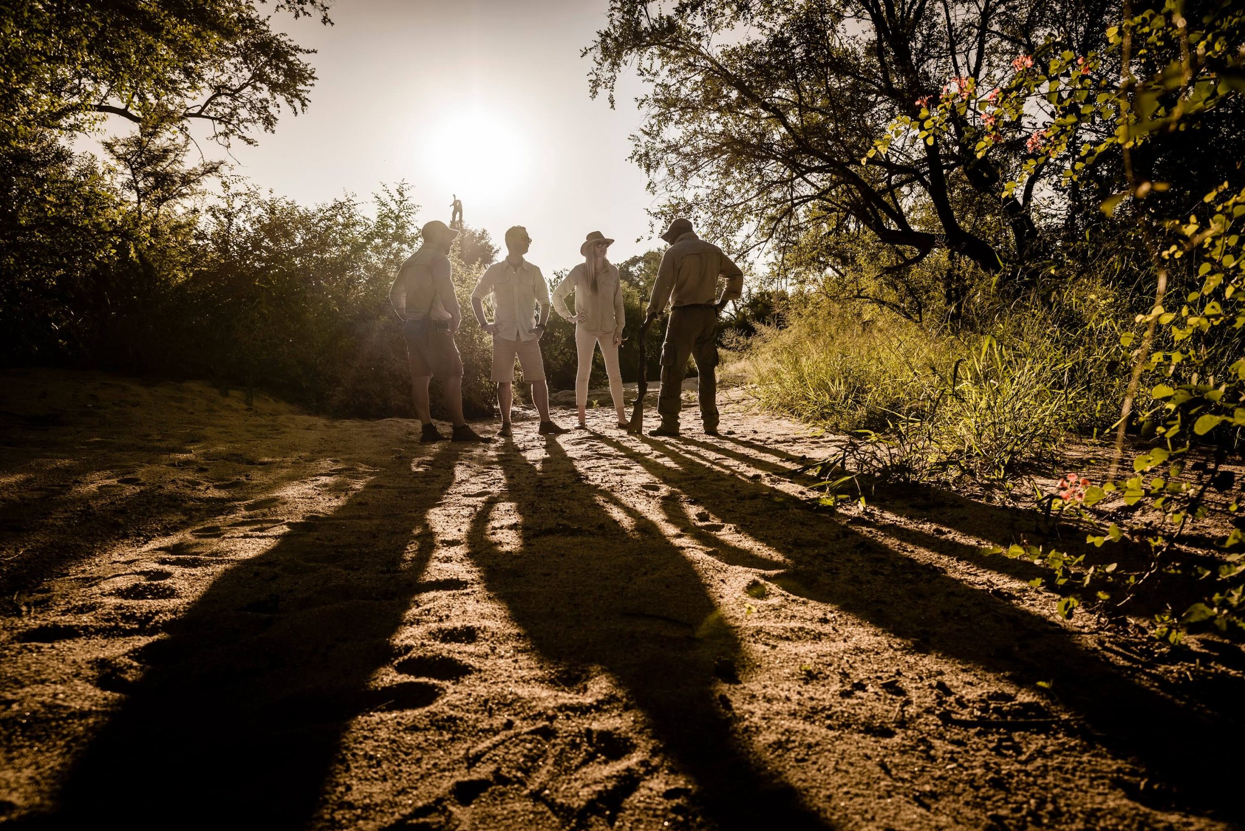 Singita