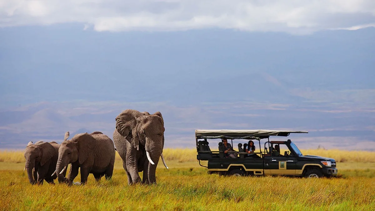 Elephant herd and game drive vehicle on the Amboseli plains, Kenya