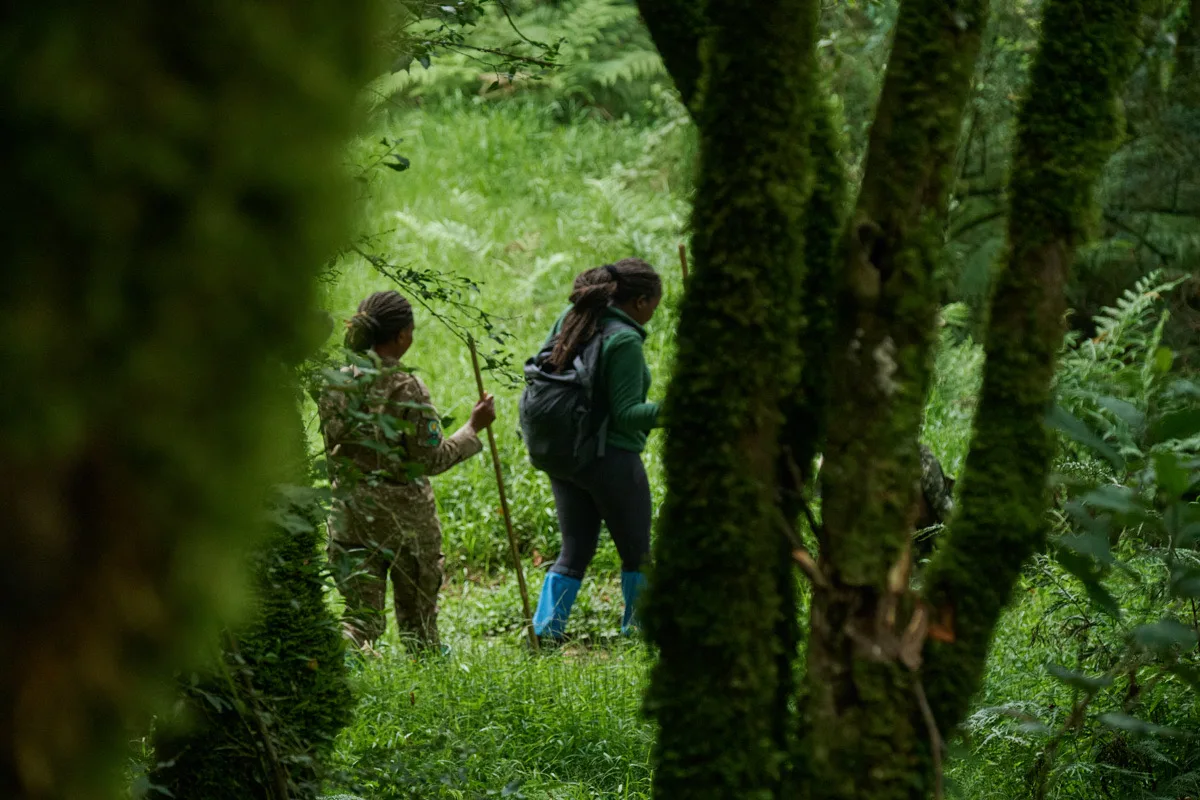 Trekkers following a ranger into the forest, Bwindi Impenetrable National Park