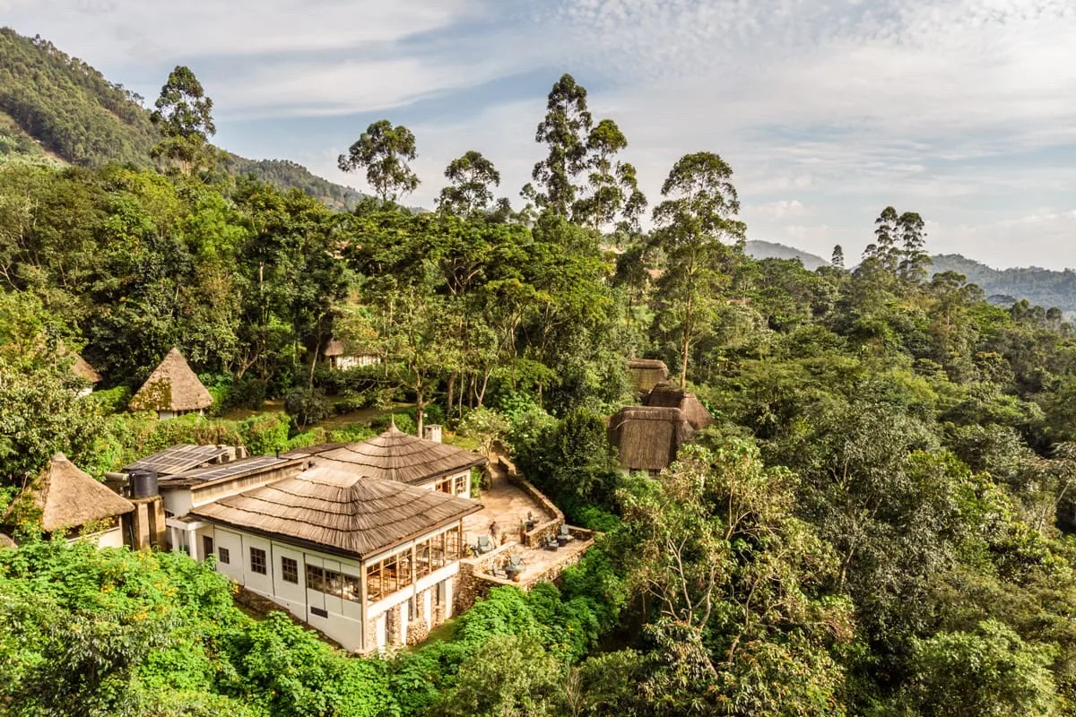 Bwindi Lodge above the Impenetrable Forest canopy, Uganda