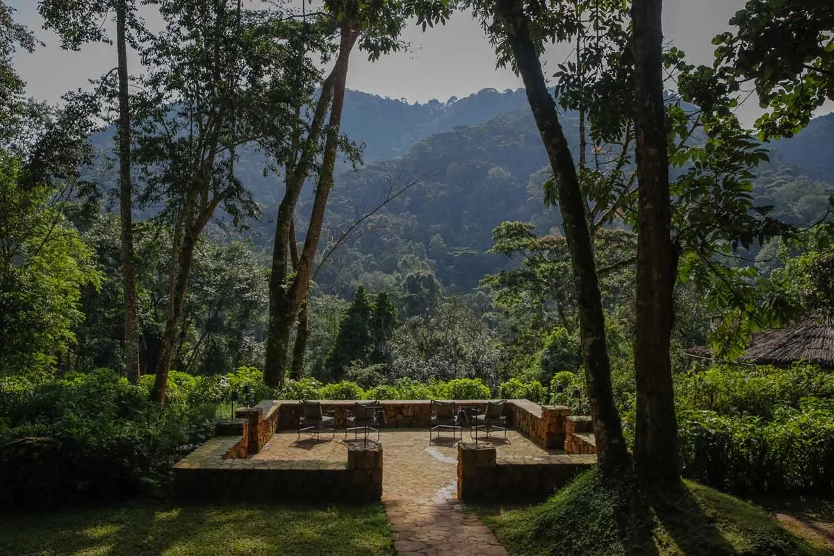 Terrace facing the Impenetrable Forest, Bwindi Lodge, Uganda
