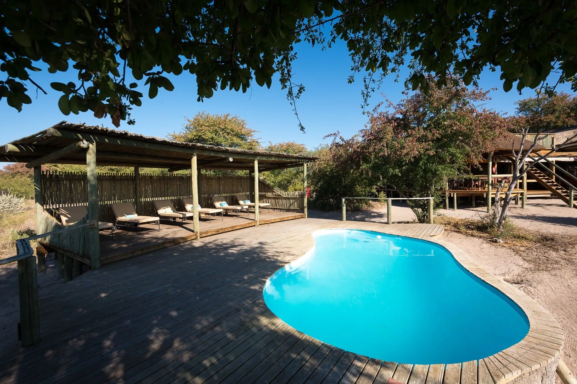 Pool and shaded deck at Kalahari Plains Camp, Central Kalahari Game Reserve