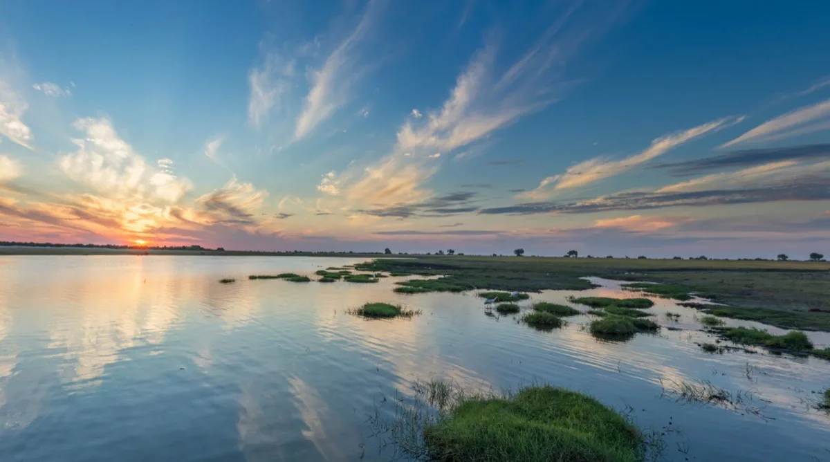 Chobe riverfront floodplain at sunset, Botswana