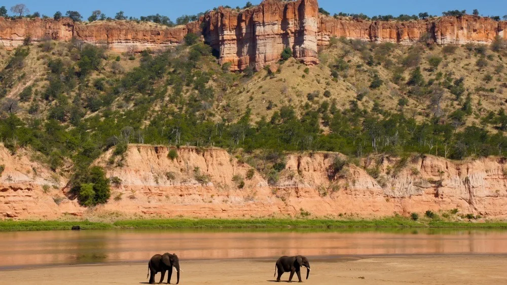 Elephant herd beneath the Chilojo Cliffs, Gonarezhou National Park