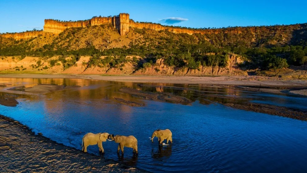 Elephants crossing the Runde River below the Chilojo Cliffs, Gonarezhou