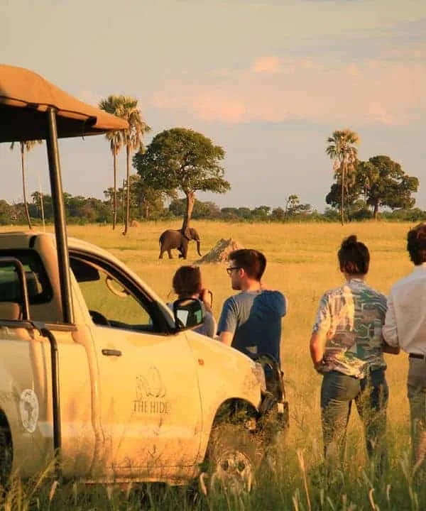 Game drive vehicle alongside an elephant, The Hide, Hwange National Park