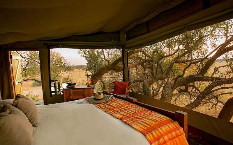 Doves Nest treehouse suite at The Hide, Hwange National Park, Zimbabwe
