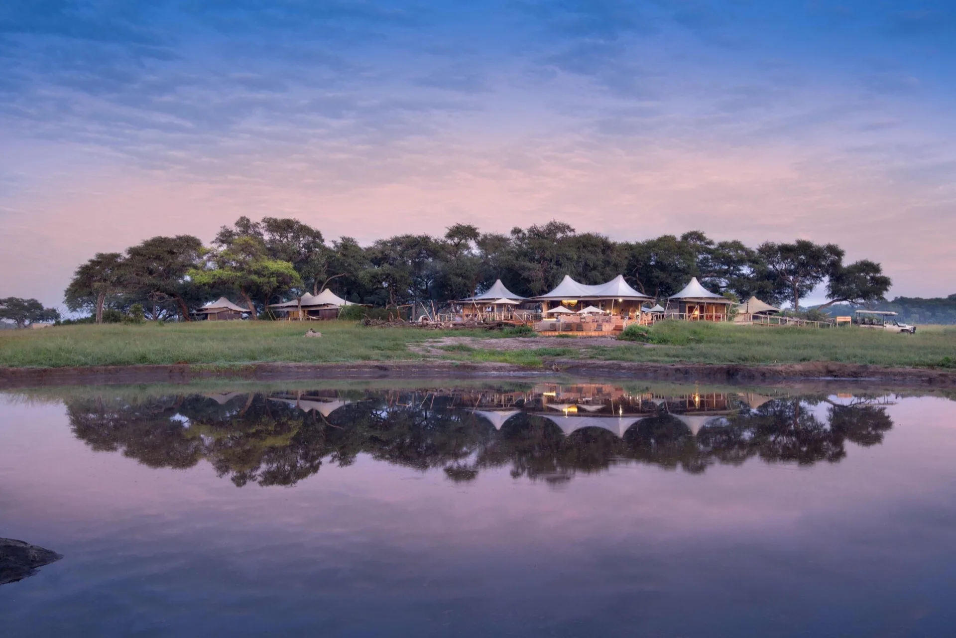 Buffalo at a night waterhole, Hwange National Park, Zimbabwe