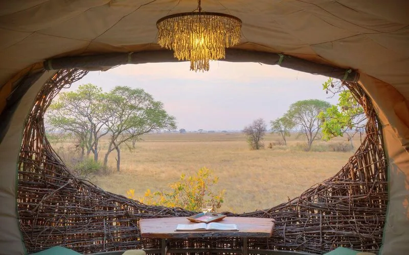 Woven nest suite looking out over the Busanga Plains, Kafue National Park