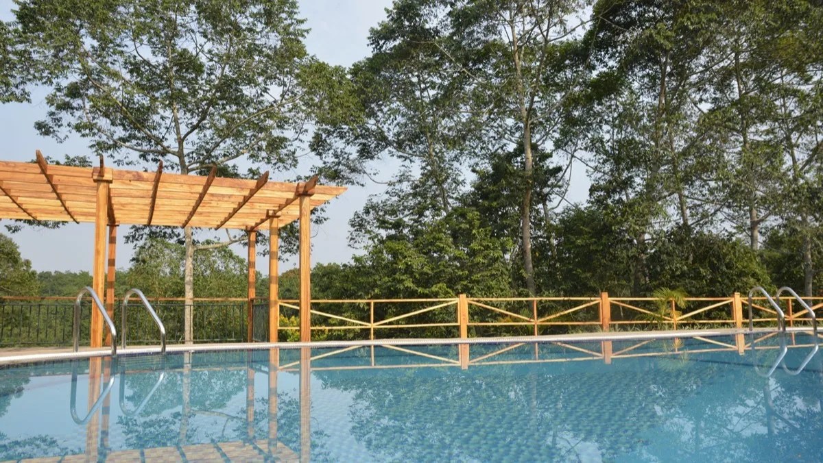 Pool on the forest edge, Chimpundu Lodge, Kibale, Uganda