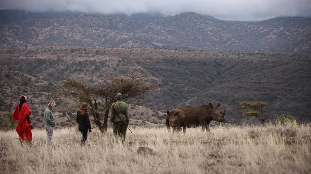 Guided walk near black rhino, Lewa Wildlife Conservancy, Kenya