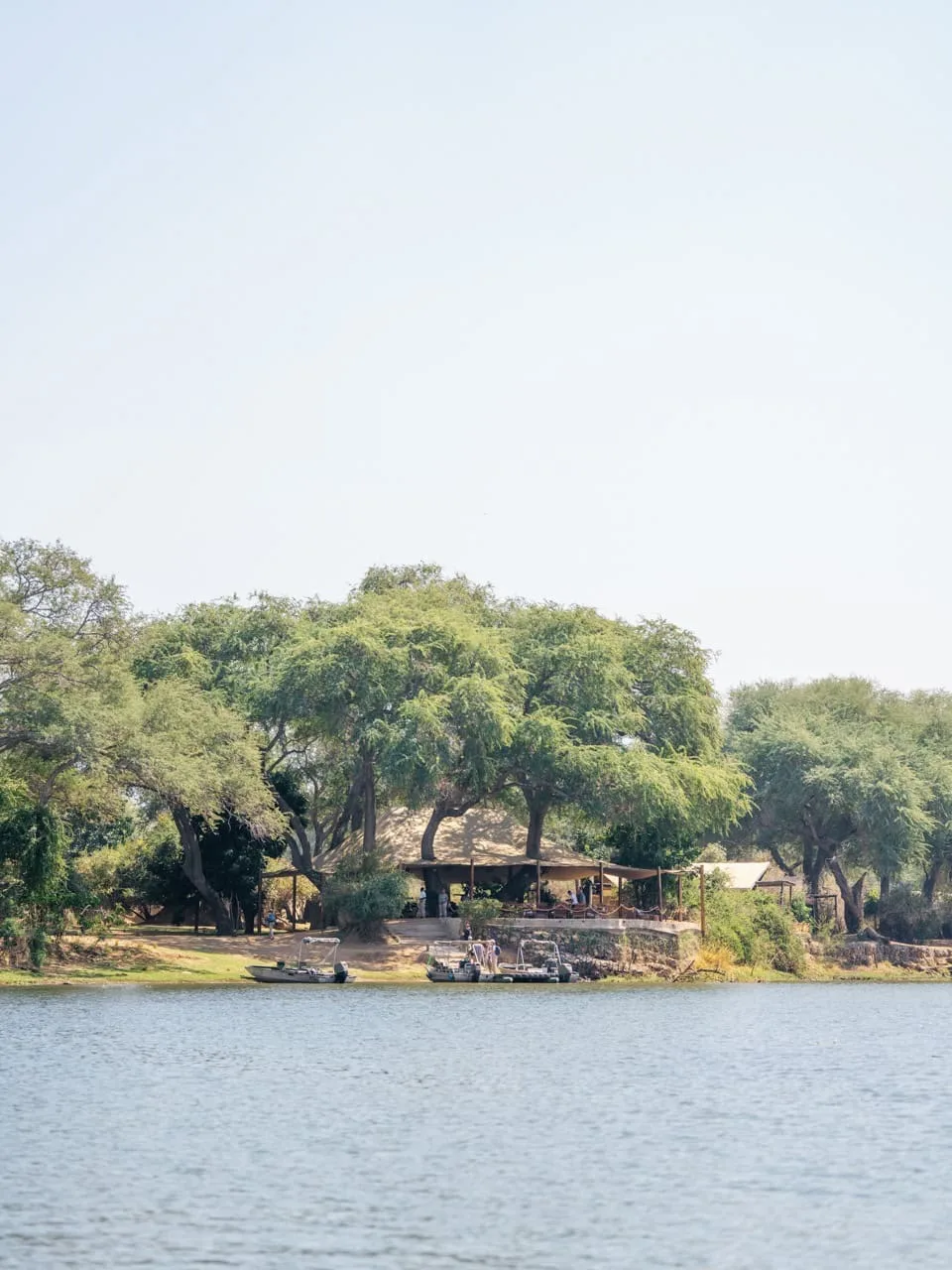 Chongwe camp under the riverine trees, Lower Zambezi National Park