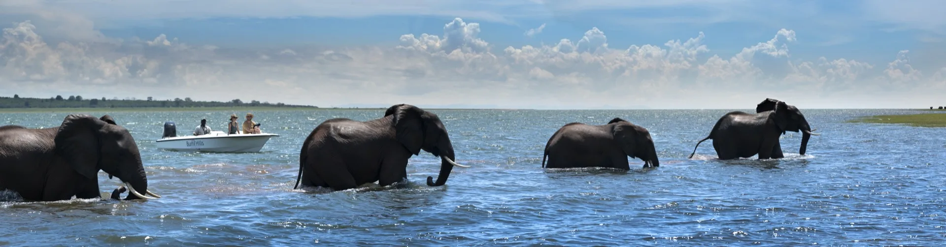 Luxury houseboat on Lake Kariba, Matusadona, Zimbabwe