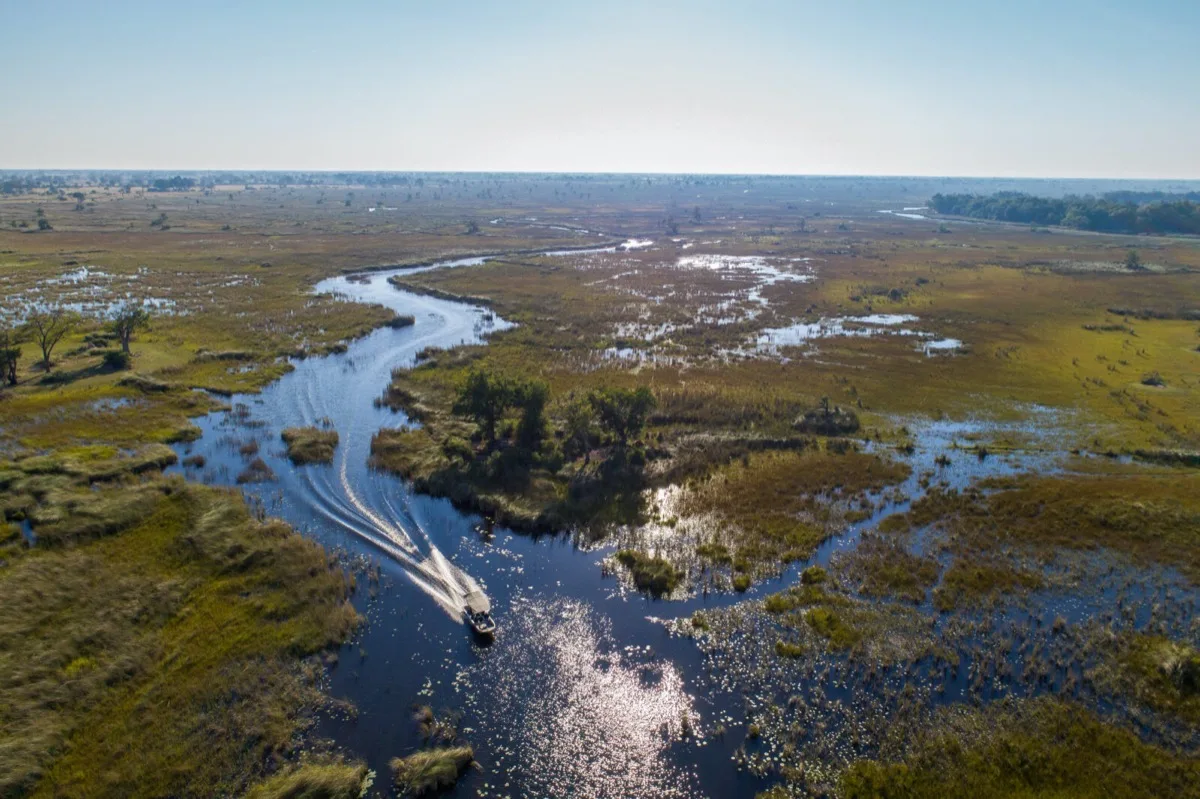 Boating safari winding through Delta channels, Moremi Game Reserve