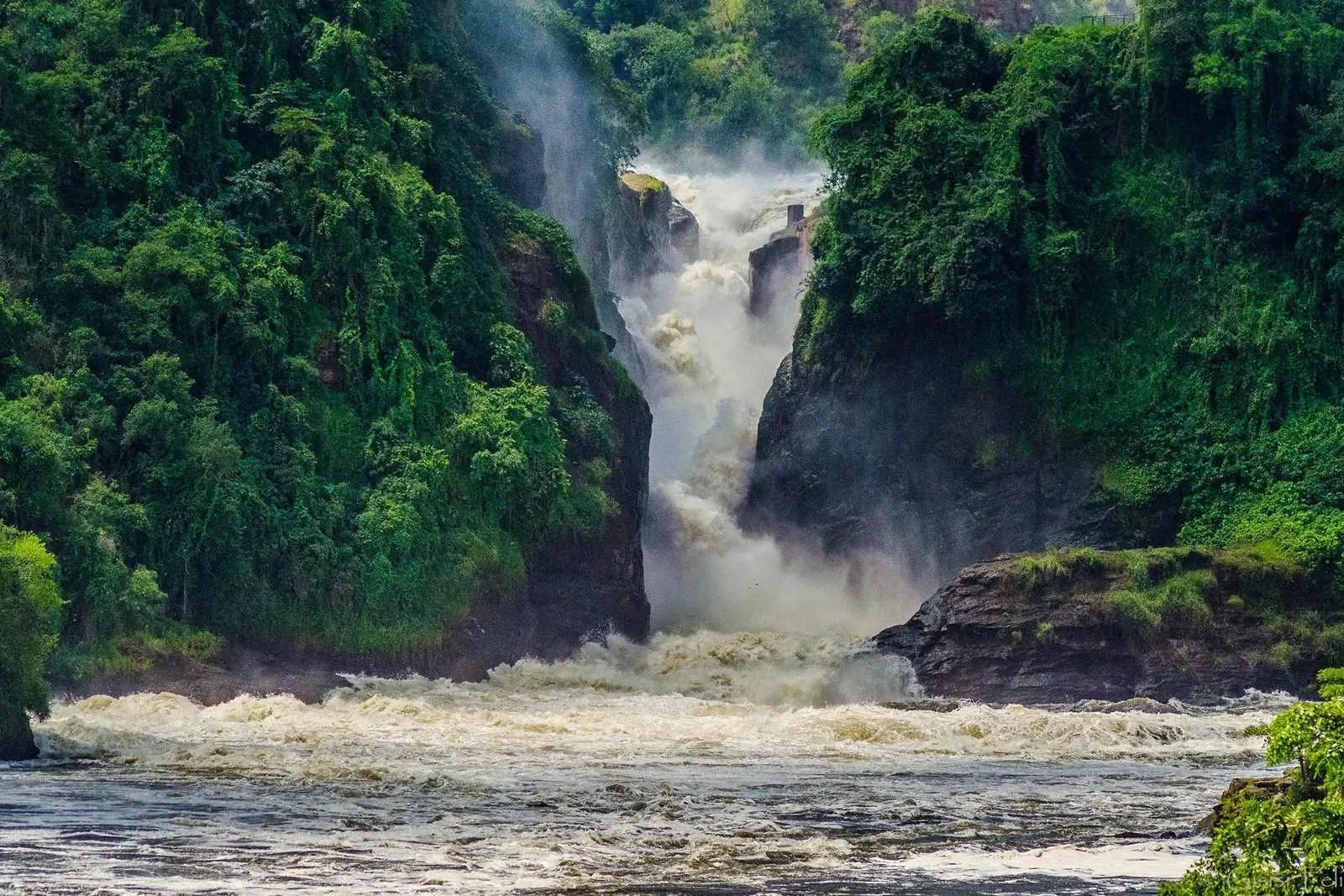 The Nile forced through the gorge at Murchison Falls, Uganda