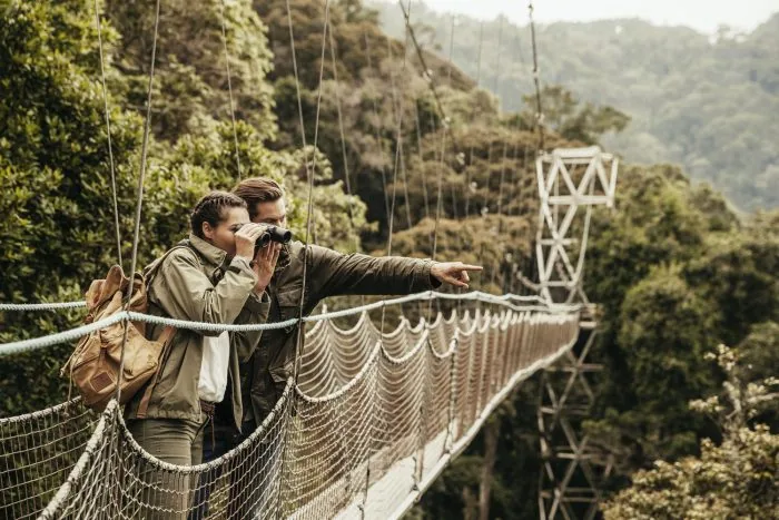 Guests on the canopy walkway above the forest, Nyungwe National Park, Rwanda
