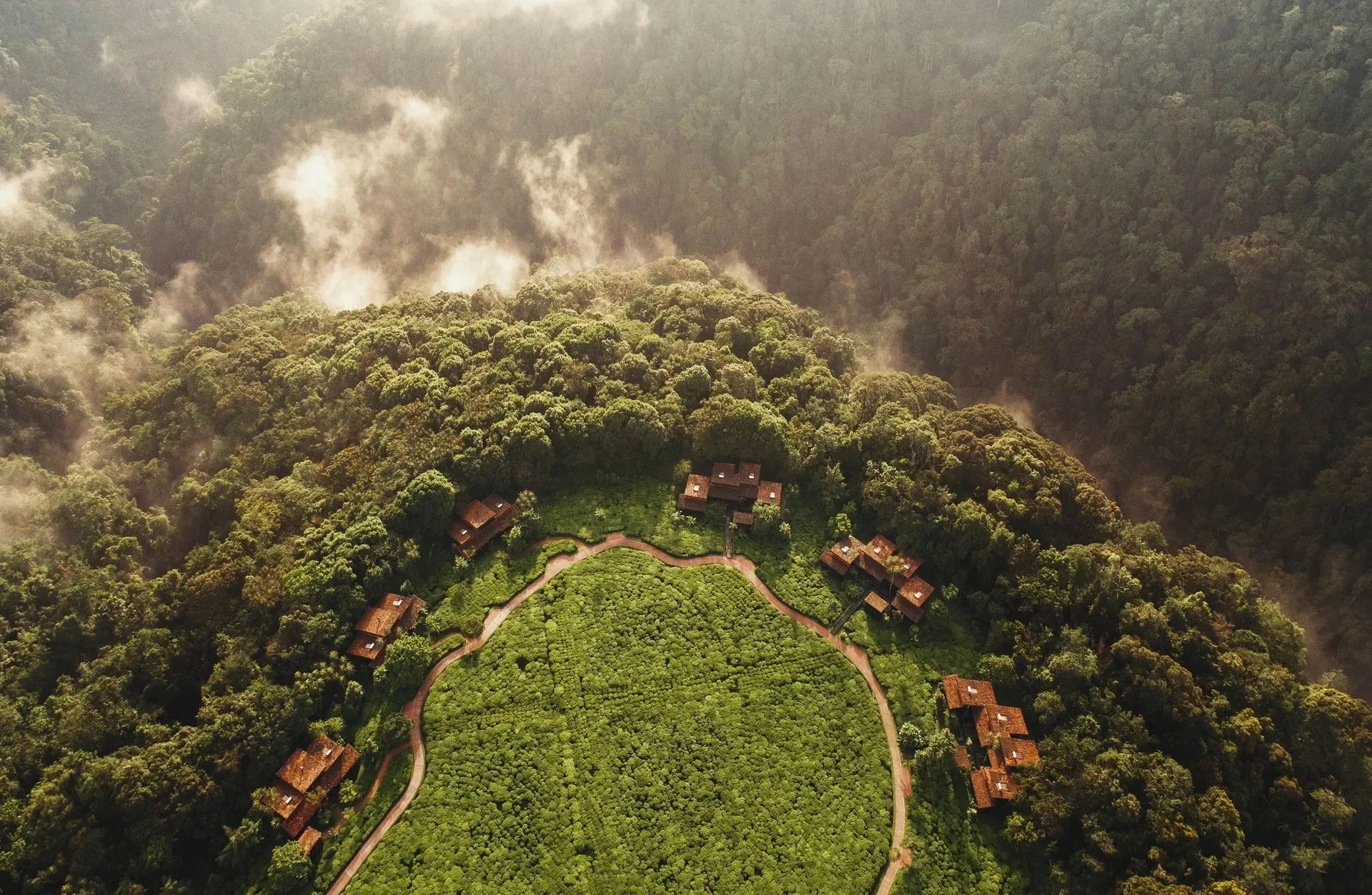 Montane rainforest canopy, Nyungwe Forest National Park, Rwanda