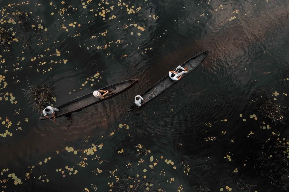 Mokoro excursion through lily-covered channels from above, Okavango Delta
