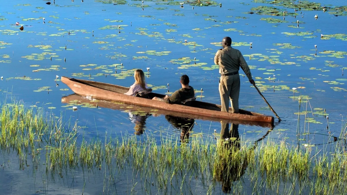 Mokoro gliding through lily pads, Okavango Delta, Botswana