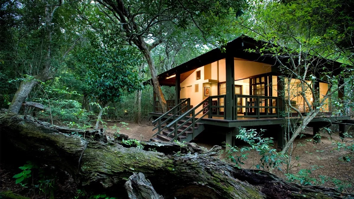 andBeyond Phinda Forest Lodge, glass suites in rare sand forest
