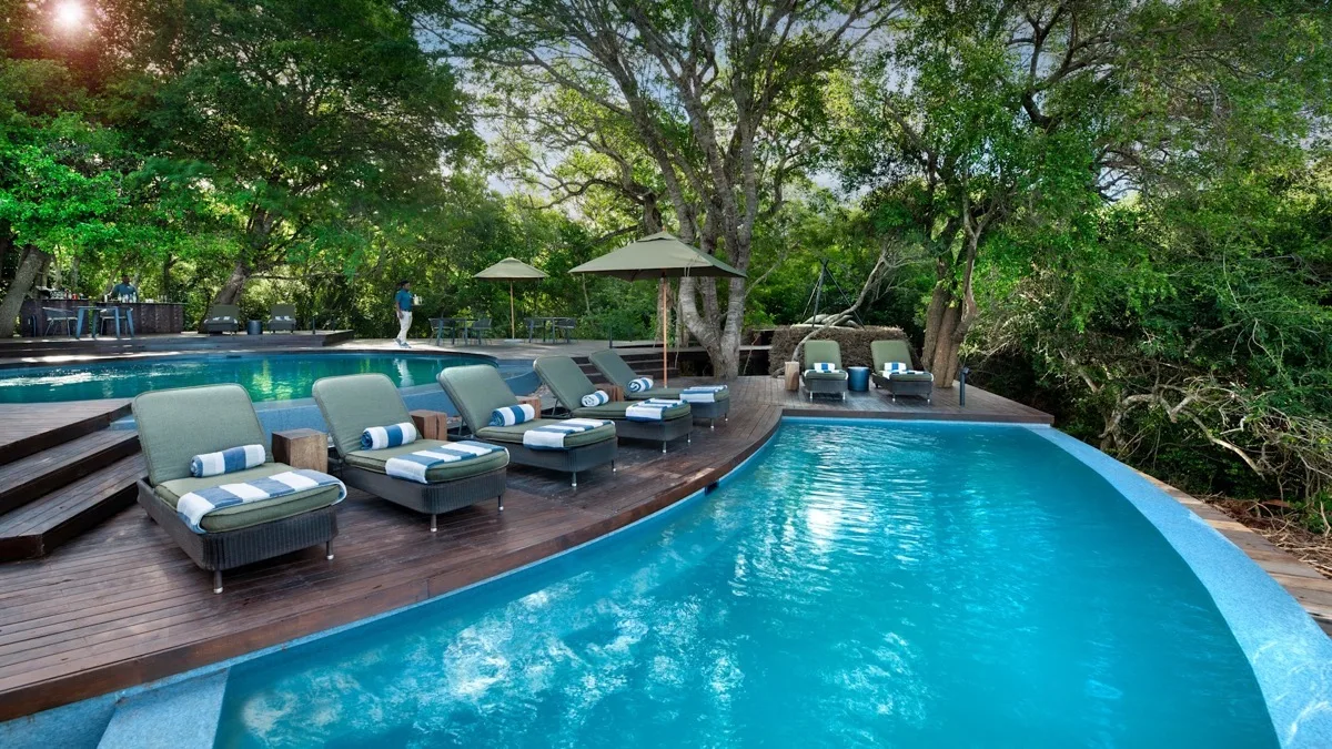 Pool deck in the sand forest, andBeyond Phinda Forest Lodge, KwaZulu-Natal