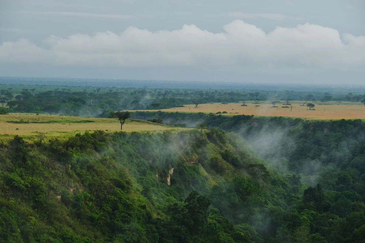 Mist rising out of the Kyambura Gorge, Queen Elizabeth National Park