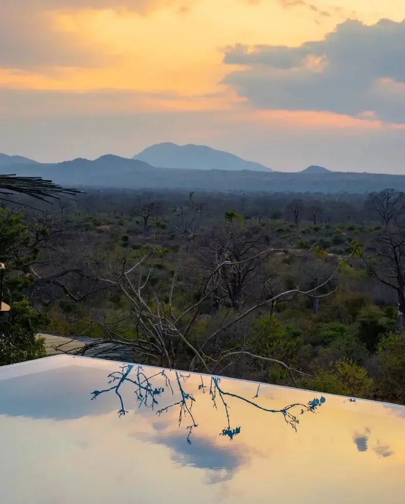 Infinity pool reflecting the baobab woodland, Jabali Ridge, Ruaha