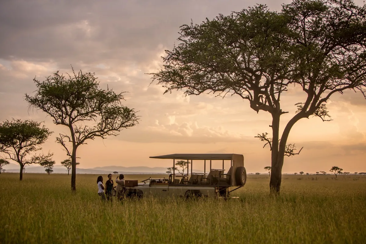 Game drive at sunset on the Singita Grumeti concession, Serengeti