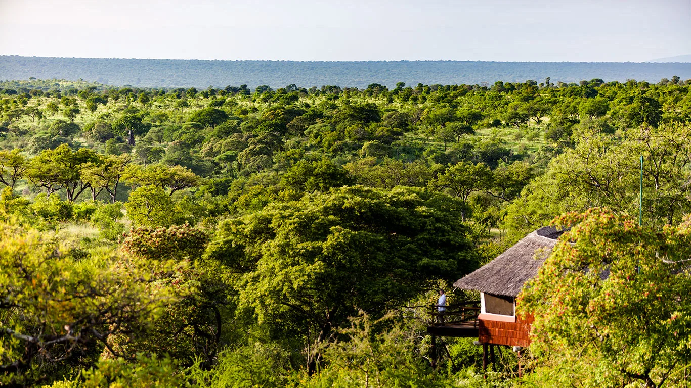 Elephant herd among baobab trees, Tarangire, Tanzania