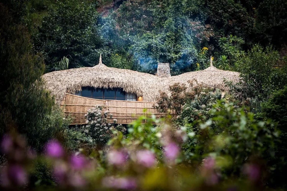 Thatched forest villa at Wilderness Bisate, Volcanoes National Park