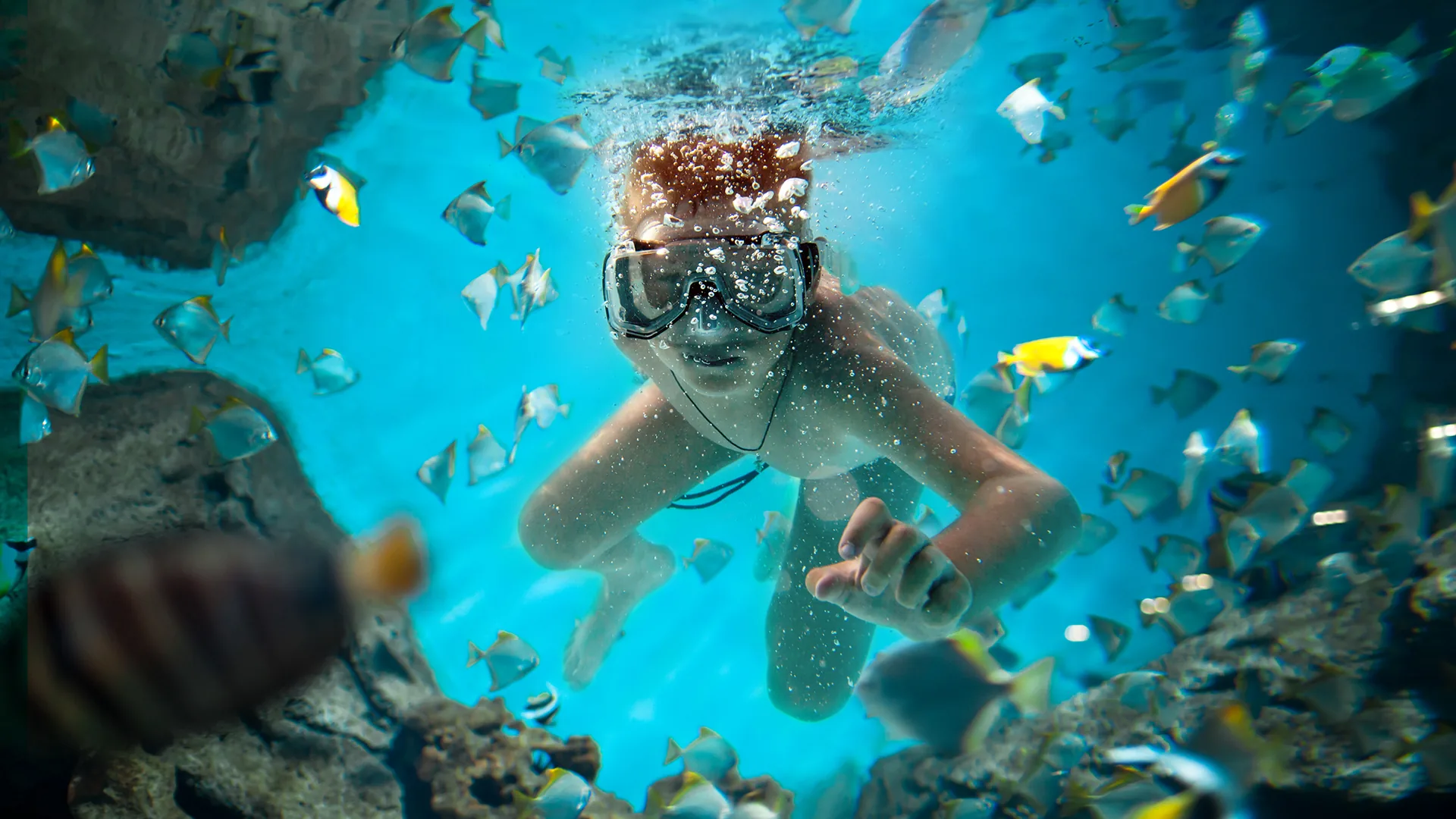 Guest snorkelling over a reef surrounded by tropical fish, Indian Ocean, KwaZulu-Natal