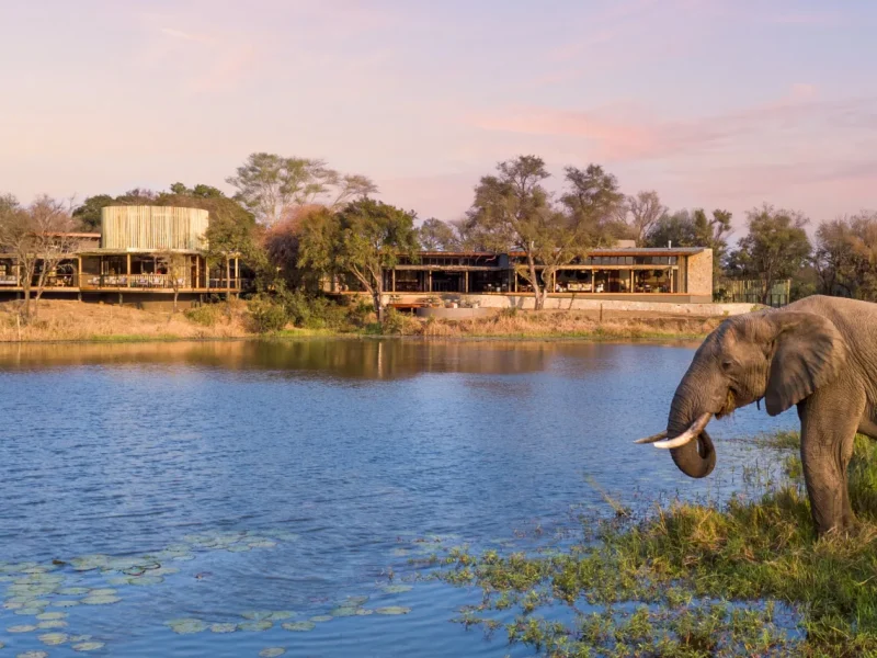 Main lodge at Sandringham Private Game Reserve seen across the dam with an elephant drinking, Greater Kruger, Limpopo